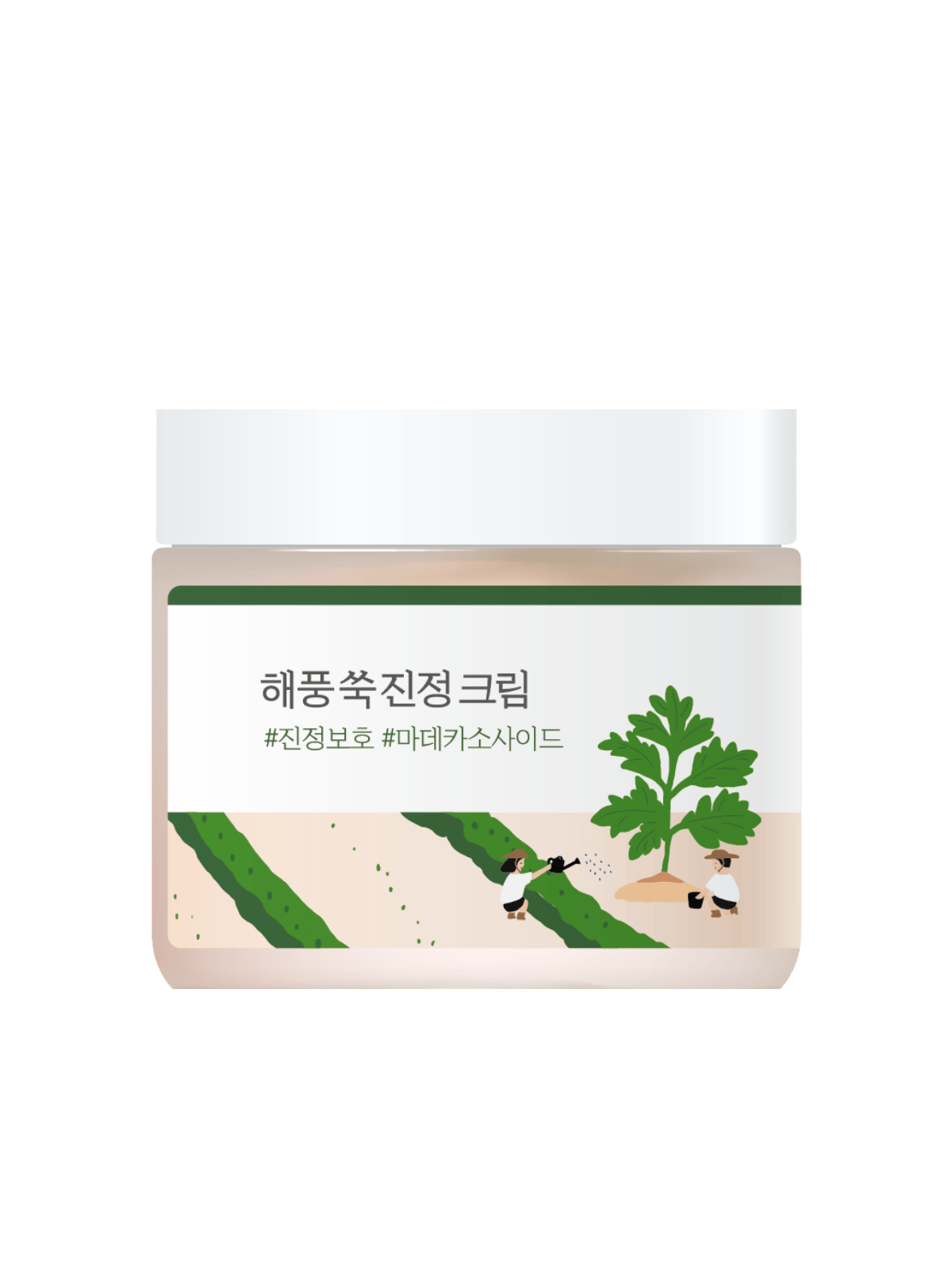 ROUND LAB Mugwort Calming Cream (80ml)
