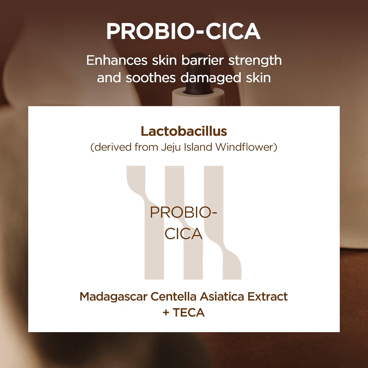 SKIN1004 Madagascar Centella Probio-Cica Intensive Ampoule (50ml)