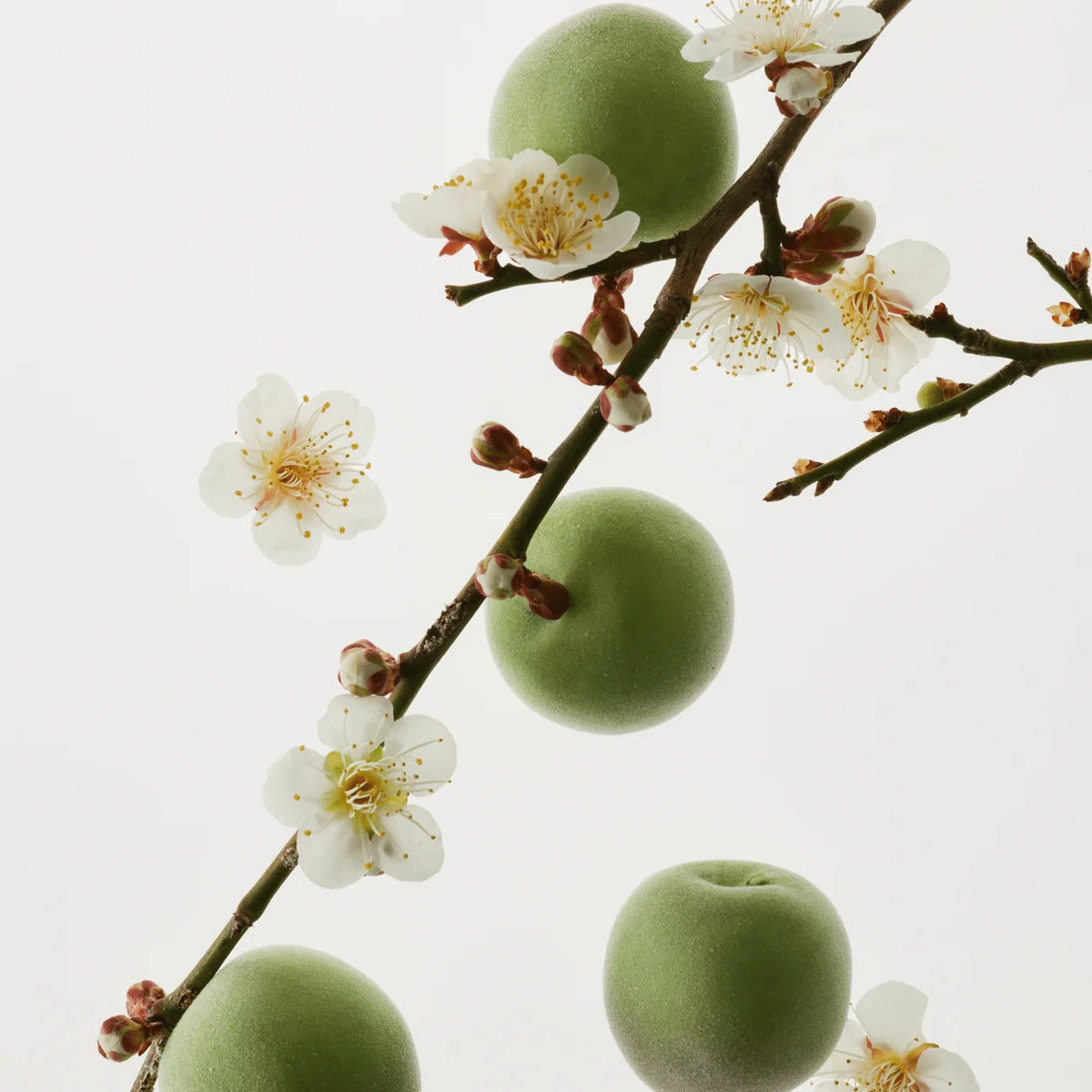BEAUTY OF JOSEON Green Plum Refreshing Toner: AHA + BHA (150ml)